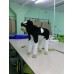 Текстиль та аксесуари